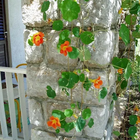 Vjera Appartamento